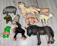 Schleich Tiere Spielfiguren Düsseldorf - Stadtmitte Vorschau