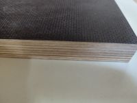 europäische Siebdruckplatten 1250 x 2500 mm ab 87€ Niedersachsen - Salzbergen Vorschau