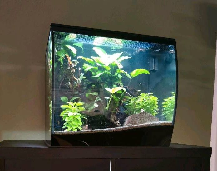 Aquarium Fluval Flex 57l in Wiesbaden