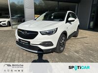 Opel Grandland X Innovation 1.2 Sachsen-Anhalt - Zerbst (Anhalt) Vorschau