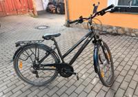 Damen Mädchen Fahrrad Pegasus Piazza I Baden-Württemberg - Bad Mergentheim Vorschau