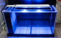 Fluval spec 5 Nano-Aquarium 19 Liter Garnelen Nordrhein-Westfalen - Bottrop Vorschau