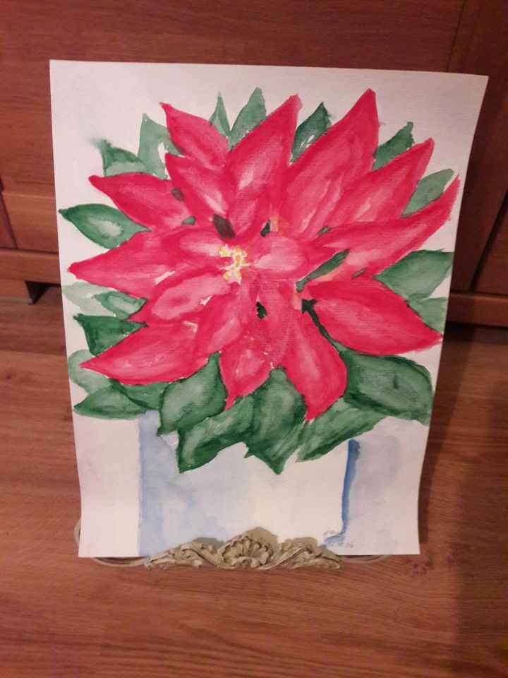 Weihnachtsstern⭐Aquarell⭐ in Ahrensburg