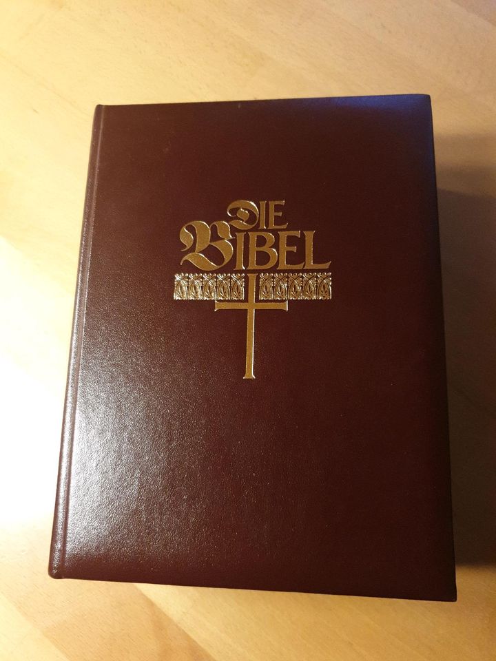 Luther Bibel in Forst