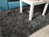 Teppich hochflor grau Ikea Lack Tisch weiß Nordrhein-Westfalen - Gelsenkirchen Vorschau