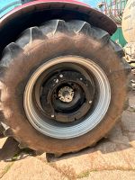 Michelin Xeobib 710/60r42 und 600/60r30 Niedersachsen - Rhumspringe Vorschau