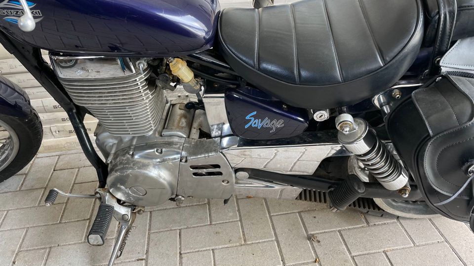 Suzuki LS 650 in Stipshausen