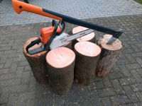 Hauklotz Hackklotz Hartholz Sitzklotz Holzstamm Nagelspiel klotz Nordrhein-Westfalen - Linnich Vorschau