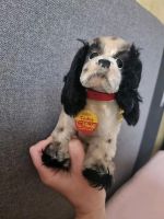 Orig. STEIFF Hund Cocker Spaniel antik Kuscheltier Nordrhein-Westfalen - Iserlohn Vorschau