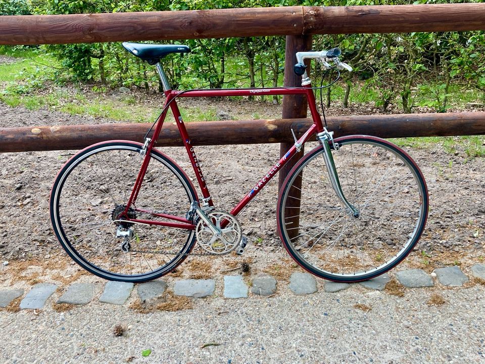 Gazelle Rennrad Vintage Olympia Race rot retro in Sottrum