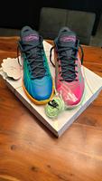Verkaufe meine ungetragenen LeBron 21 Nike Multicolor Sachsen - Chemnitz Vorschau
