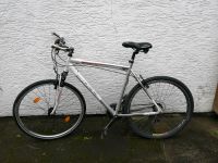 Bulls Herren Fahrrad Cross Bike 28 Zoll Silber Mountain Trekking Rheinland-Pfalz - Worms Vorschau