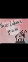 Suche ein kleines Häuschen Rheinland-Pfalz - Trier Vorschau
