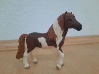 Schleich Pferd 13815 - Island Pony Hengst Schleswig-Holstein - Tremsbüttel Vorschau