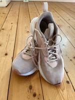 PUMA Hallensportschuhe Größe 40 Buchholz-Kleefeld - Hannover Groß Buchholz Vorschau