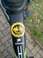 Fahrrad Pegasus Avanti Friesoythe - Markhausen Vorschau