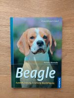 Beagle Buch, Praxis Wissen Hund von Wiebke Warneke, Kosmos Bayern - Böhmfeld Vorschau