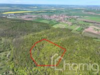 Stattlicher Laubmischwald (ca. 4 ha) in Thüringen Thüringen - Heldrungen Vorschau