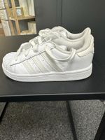 Adidas Superstar / Kinderschuhe / Gr. 25,5 Hamburg-Mitte - Hamburg Hammerbrook Vorschau