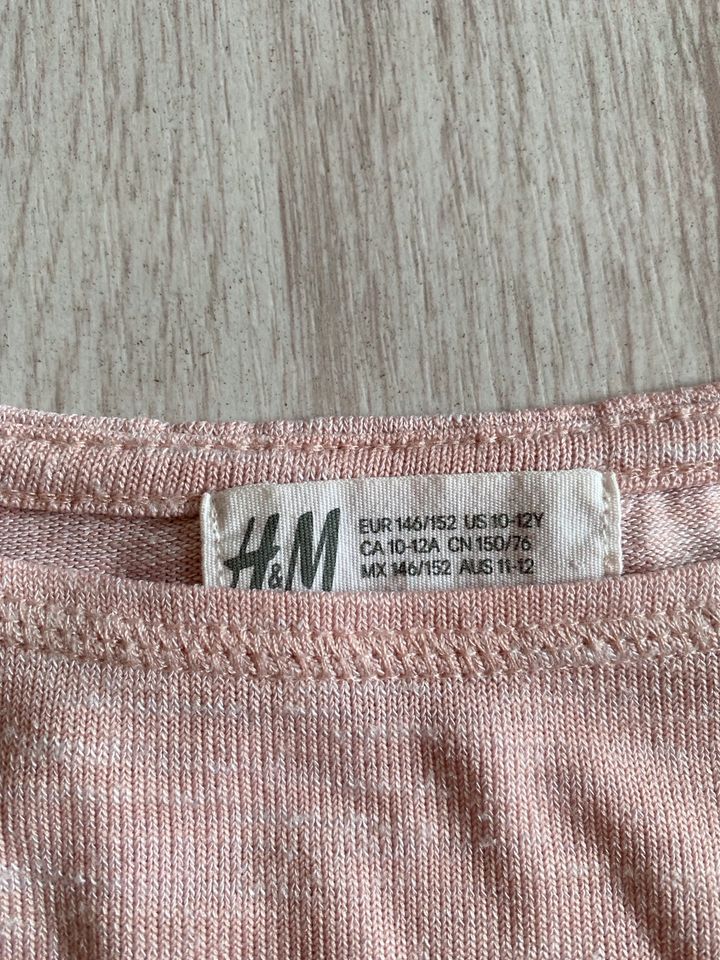 Shirt Mädchen H&M 146-152 in Perleberg