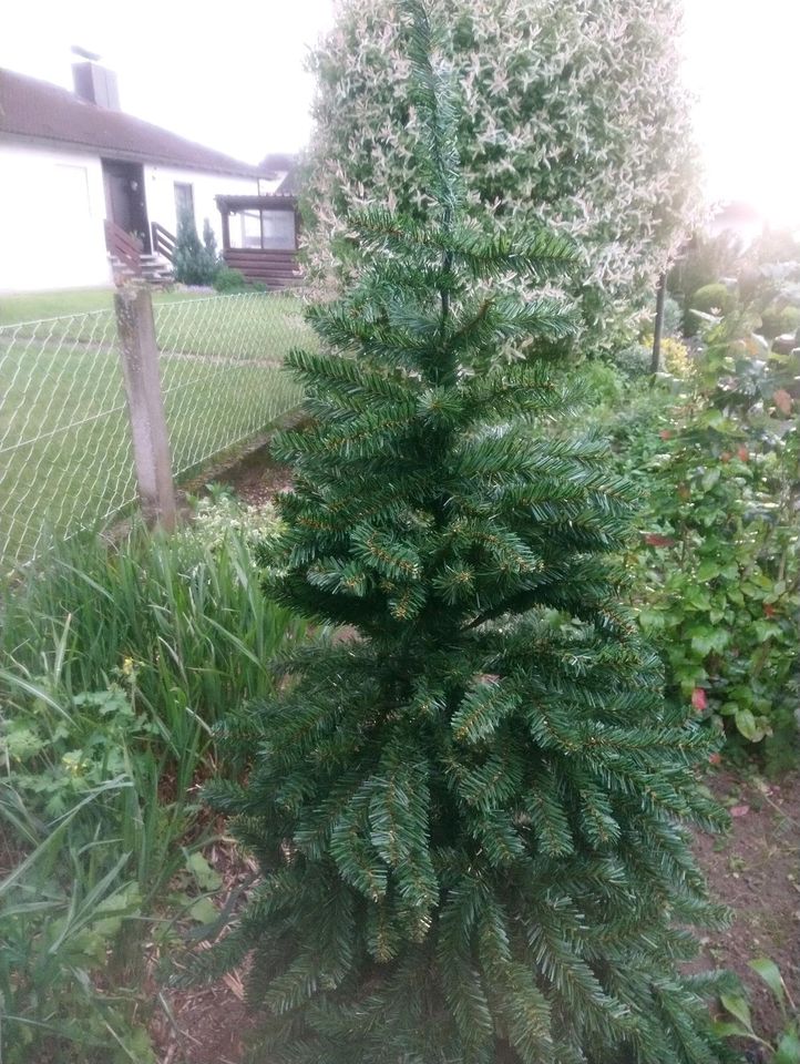 Künstlicher Tannenbaum in Eckental 