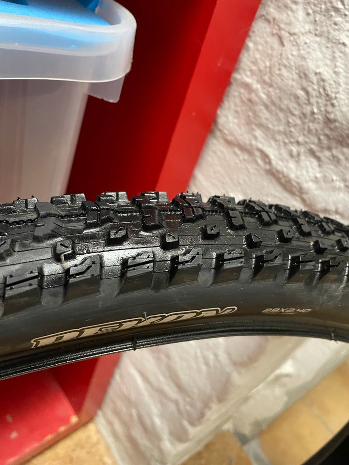 Maxxis Rekon 2.4 in Kirchlengern