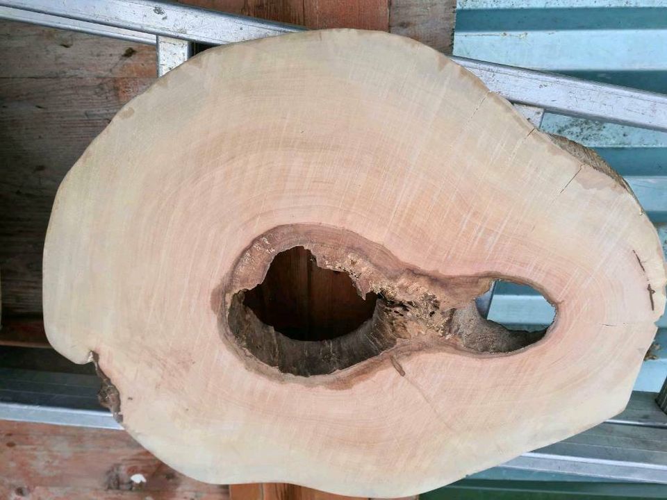 Holz Scheiben für Epoxidharz in Mietingen