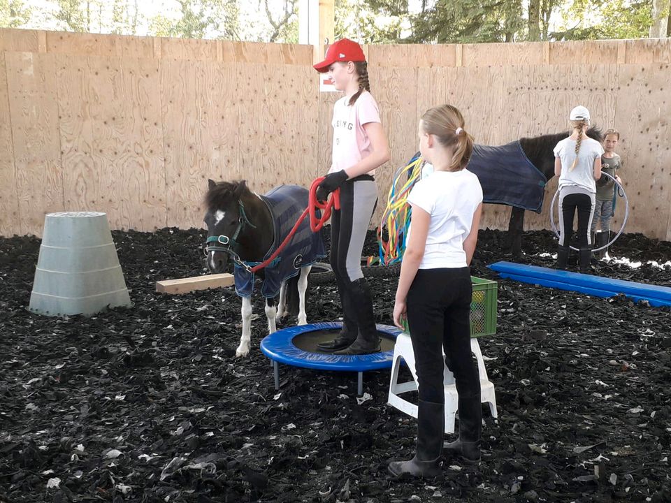 Fortbildung Physiotherapie und Pferd für Reitpädagogik, in Ortenburg