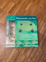 *NEU* Pflanzenroller glasklar rund Durchmesser 35,5 cm Niedersachsen - Osnabrück Vorschau