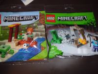 LEGO Minecraft 30647 Die Tropfsteinhöhle 30432 Schildkrötenstrand Hessen - Hattersheim am Main Vorschau