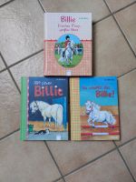 Bücher Alle lieben Billie Du schaffst das freches Pony großes Her Hessen - Niddatal Vorschau
