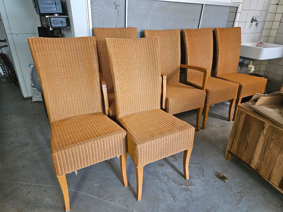 6 Stühle, Korbstühle Lloy Loom, 2 mit Armlehnen, 4 ohne in Greven