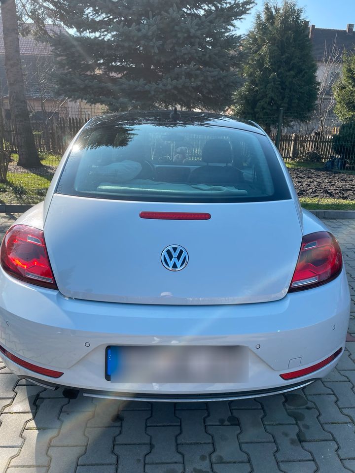 Volkswagen Beetle in Werneuchen