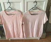 2 T-Shirt Basic apricot / weiß Gr. L (44/46) von Gina Niedersachsen - Garbsen Vorschau