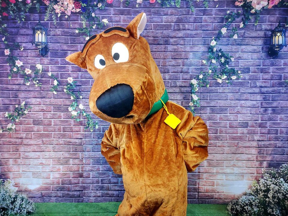 Scooby Doo Maskottchen Kostüm Geburtstag Party Fasching Hochzeit in Berlin