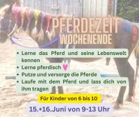 Pferdezeit Wochenende für Kinder Hessen - Hirschhorn (Neckar) Vorschau