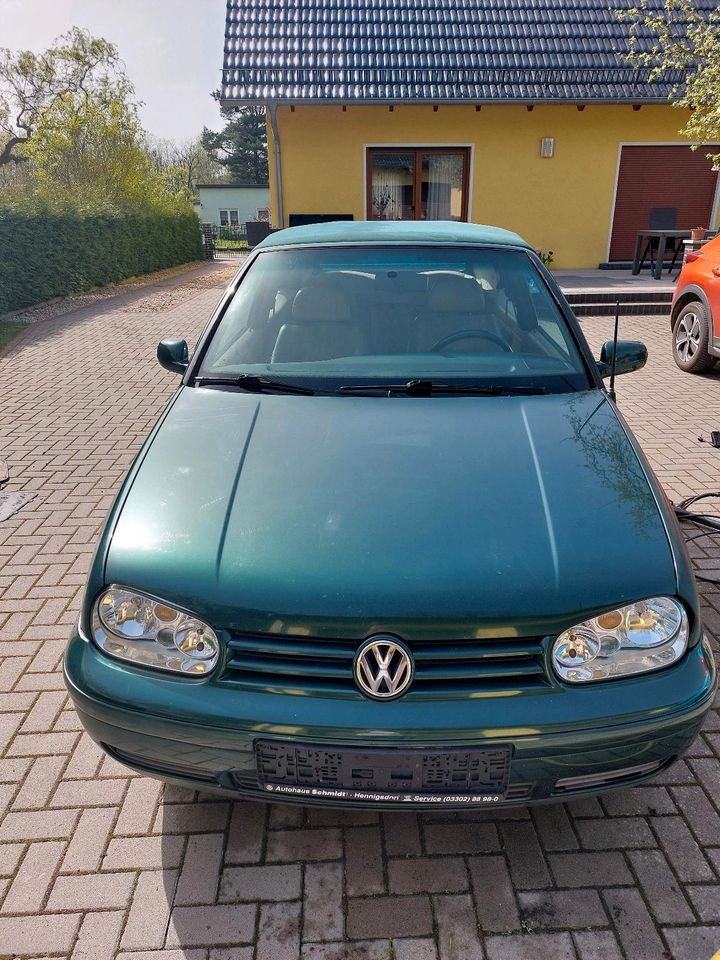 Golf 4 Cabrio in Oranienburg