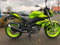 Benelli BN 125 Leichtkraftrad Euro 5 Neufahrzeug Nordrhein-Westfalen - Dülmen Vorschau