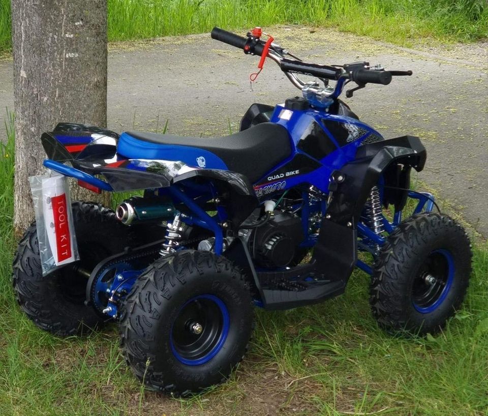 Pocket Bike Quad 50ccm NEU Kinderquad Mini Quad ATV pocketbike in Aschaffenburg