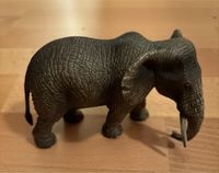 Schleich Elefant ca. 14 cm lang München - Au-Haidhausen Vorschau