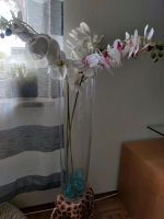 60 cm Glas Vase Bayern - Lindau Vorschau