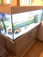 Aquarium 1,20x40x50 von Eheim komplett Ausstattung! Bayern - Nittendorf  Vorschau