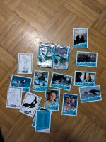 15 Free Willy 2 Trading Cards + 2 leere Booster Packs, Skybox 199 Baden-Württemberg - Sinsheim Vorschau