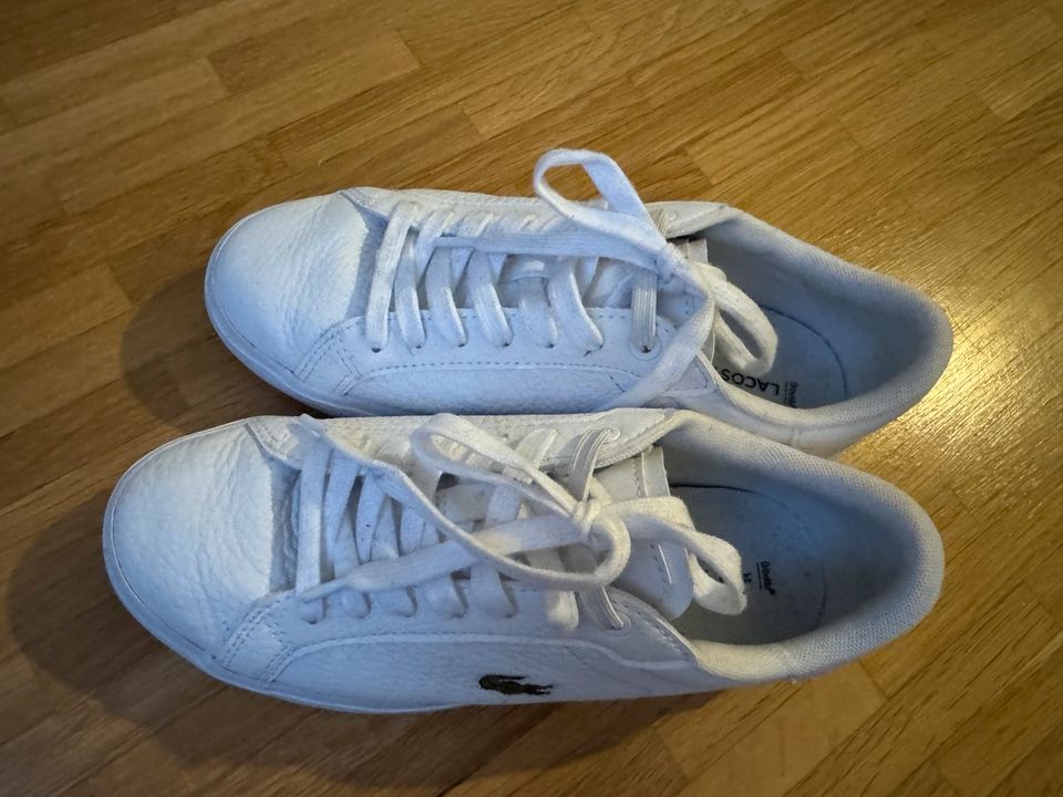 Lacoste Sneaker Größe 35,5 in München