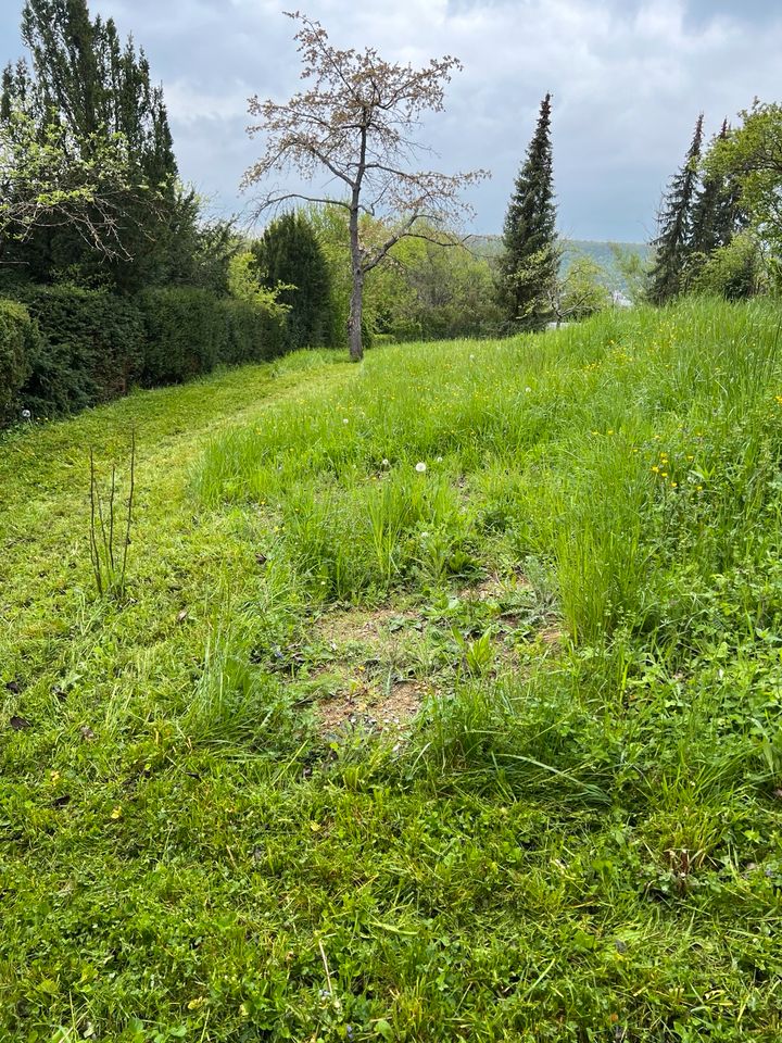 Hausmeisterservice,Kehrwoche,Winterdienst,Gartenpflege in Eppingen