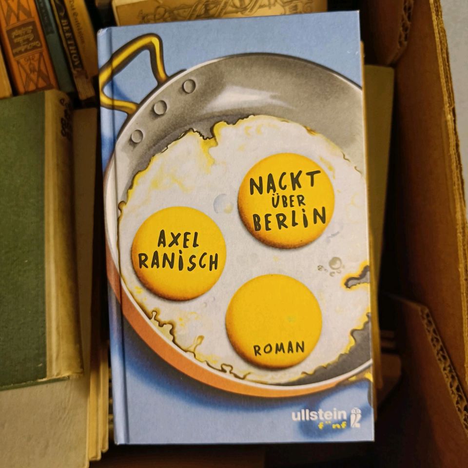 Axel Ranisch, Nackt über Berlin, Roman in Dallgow