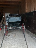 Verkaufe Marathonwagen Bayern - Viechtach Vorschau