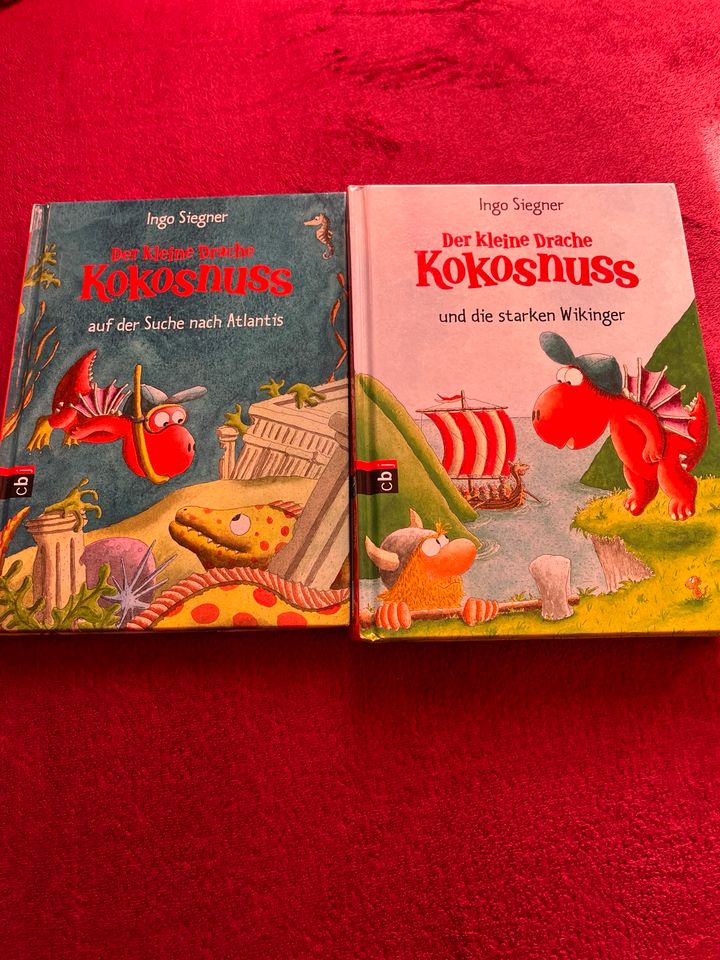Der kleine Drache Kokosnuss 4€ pro Buch in Magdeburg
