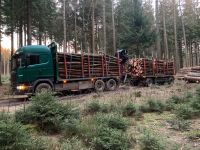 Stammholz Brennholz Feuerholz Kaminholz Fichte Sachsen - Annaberg-Buchholz Vorschau