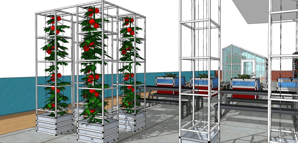 Spalier Tomaten Pflanztopf , Gurken Turm, für Kletterpflanzen in Berlin
